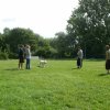 obeissance 2014-08-02